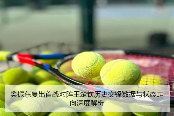 樊振东复出首战对阵王楚钦历史交锋数据与状态走向深度解析