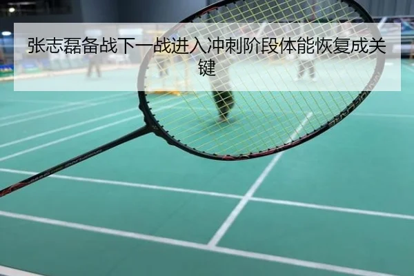 张志磊备战下一战进入冲刺阶段体能恢复成关键