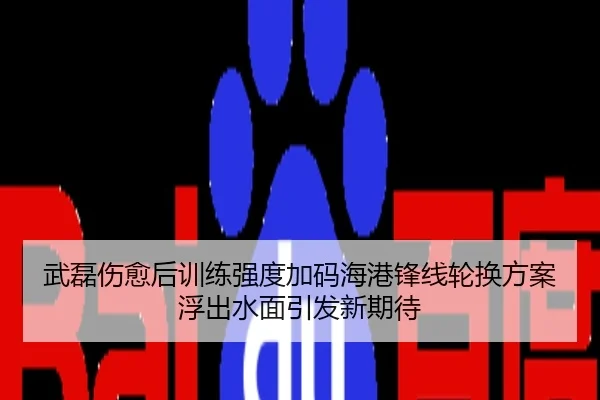 武磊伤愈后训练强度加码海港锋线轮换方案浮出水面引发新期待